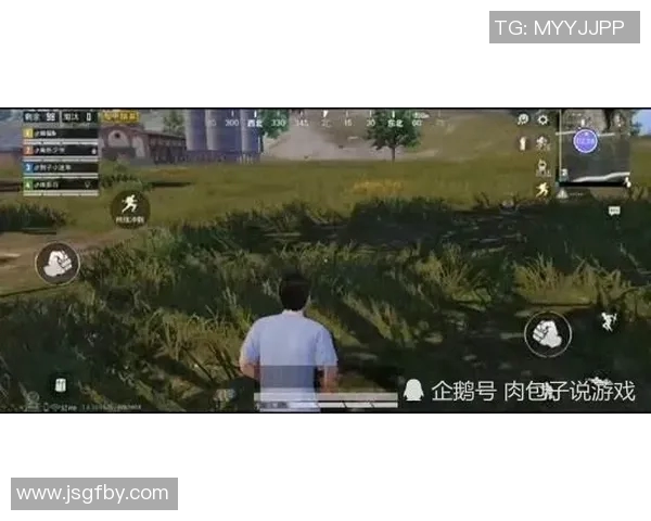 深入分析BLG在和平精英赛事中的进攻策略与战术布局 深入分析BLG在和平精英赛事中的进攻策略与战术布局